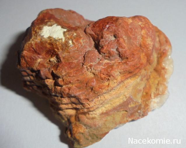 Компания кладоискателей. Болталка форума Минералов