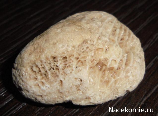 Компания кладоискателей. Болталка форума Минералов