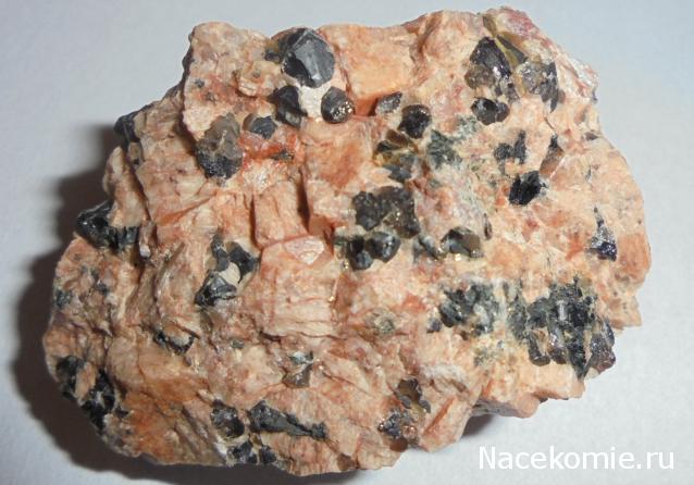 Компания кладоискателей. Болталка форума Минералов