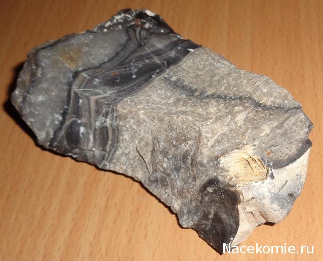 Компания кладоискателей. Болталка форума Минералов