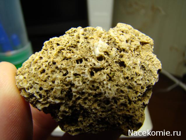 Компания кладоискателей. Болталка форума Минералов