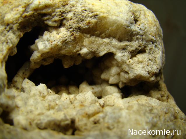 Компания кладоискателей. Болталка форума Минералов