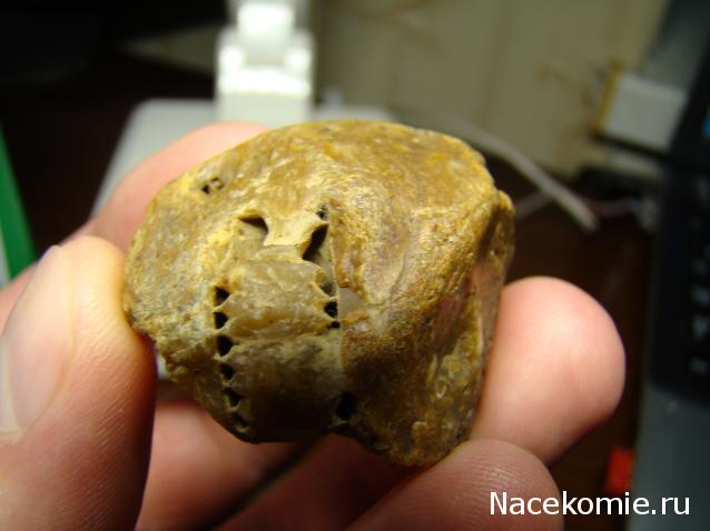 Компания кладоискателей. Болталка форума Минералов