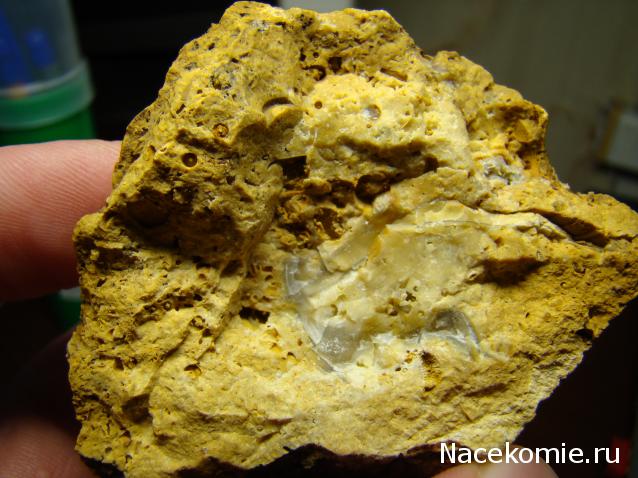 Компания кладоискателей. Болталка форума Минералов