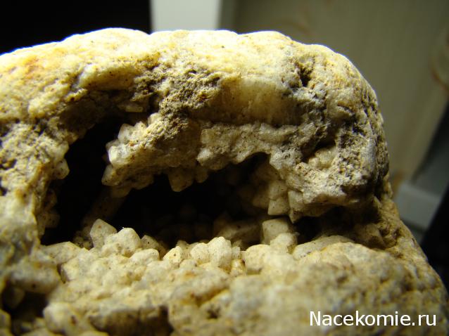 Компания кладоискателей. Болталка форума Минералов