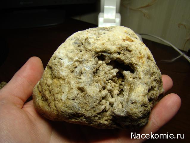 Компания кладоискателей. Болталка форума Минералов