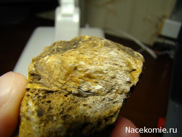 Компания кладоискателей. Болталка форума Минералов