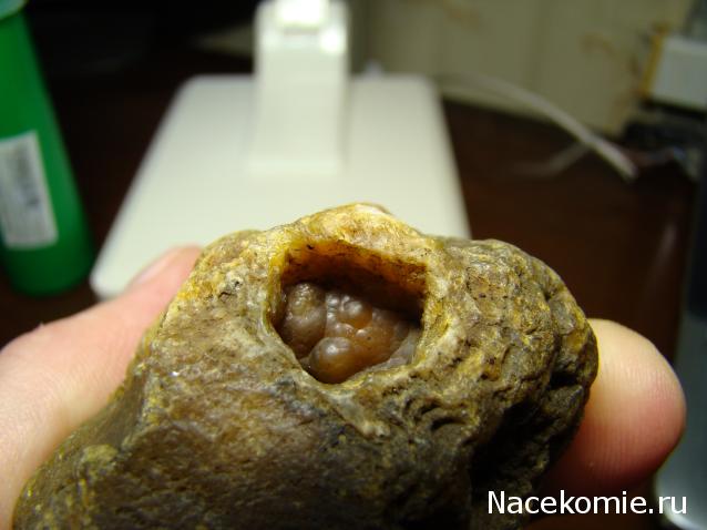 Компания кладоискателей. Болталка форума Минералов