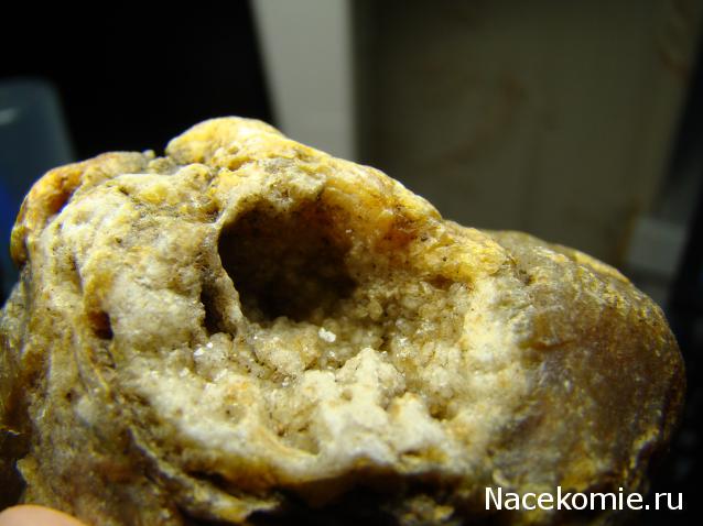 Компания кладоискателей. Болталка форума Минералов