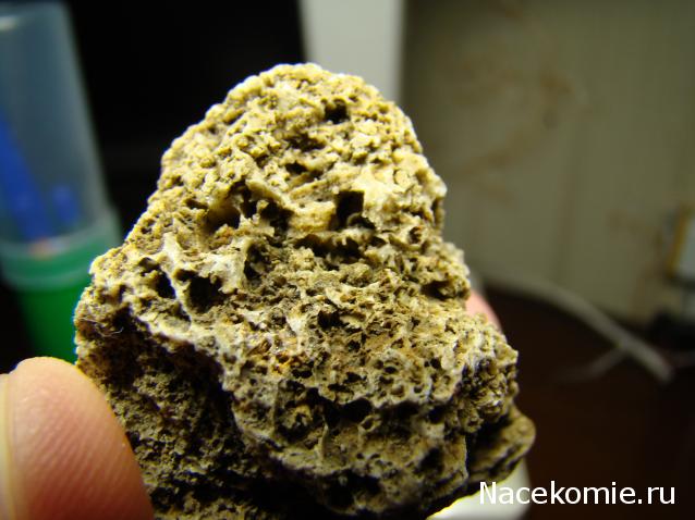 Компания кладоискателей. Болталка форума Минералов