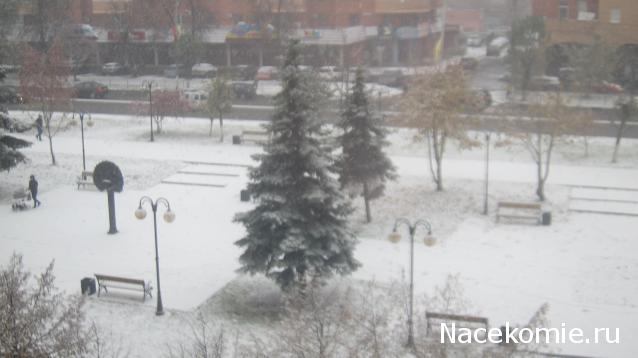 Компания кладоискателей. Болталка форума Минералов