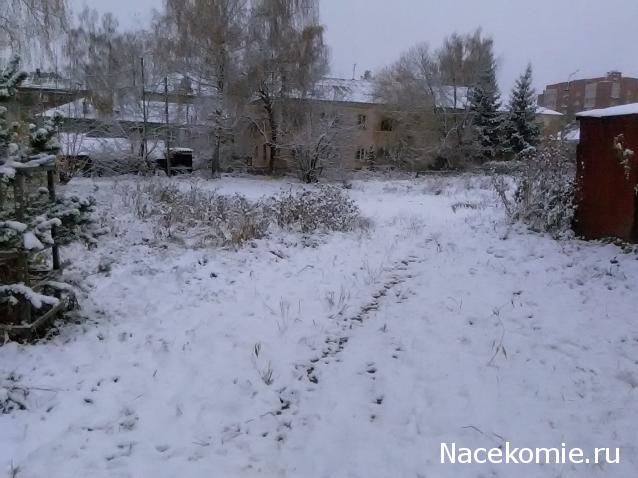 "Живой уголок"