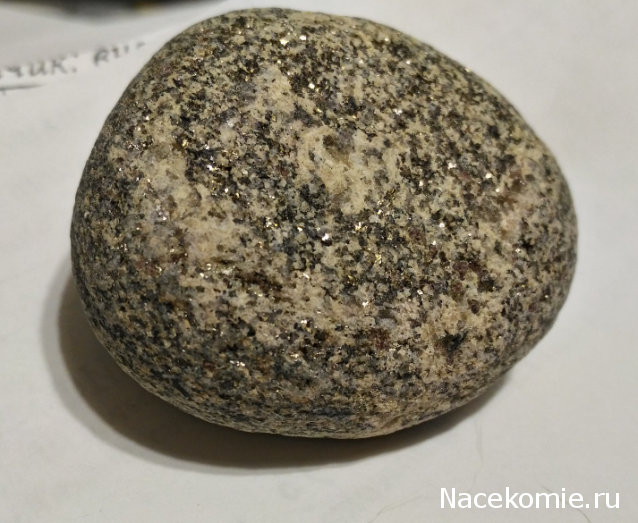 Компания кладоискателей. Болталка форума Минералов