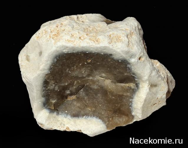 Компания кладоискателей. Болталка форума Минералов