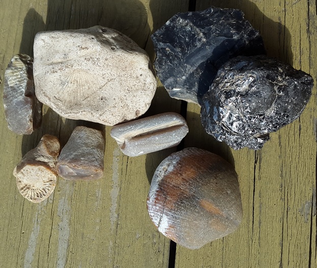 Компания кладоискателей. Болталка форума Минералов