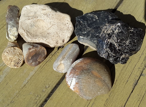 Компания кладоискателей. Болталка форума Минералов