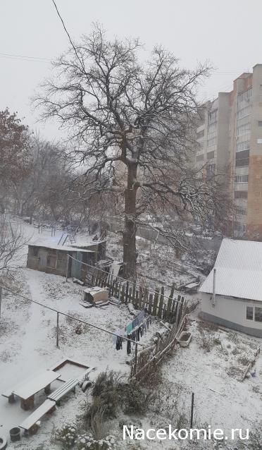 "Живой уголок"