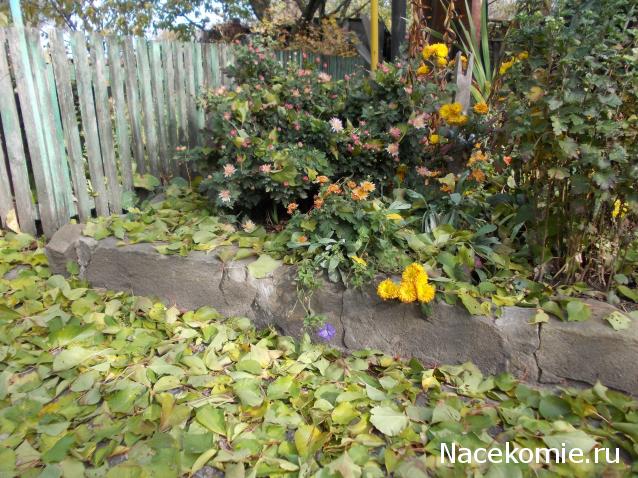 Куклы в народных костюмах – "Девчушки-болтушки"