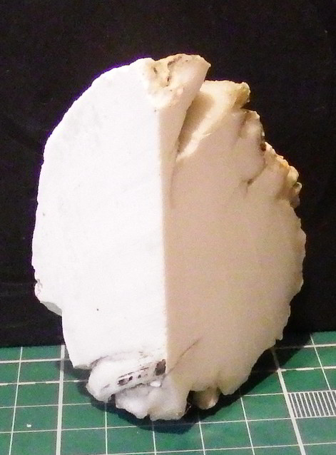 Компания кладоискателей. Болталка форума Минералов