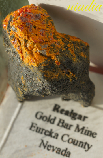 Компания кладоискателей. Болталка форума Минералов