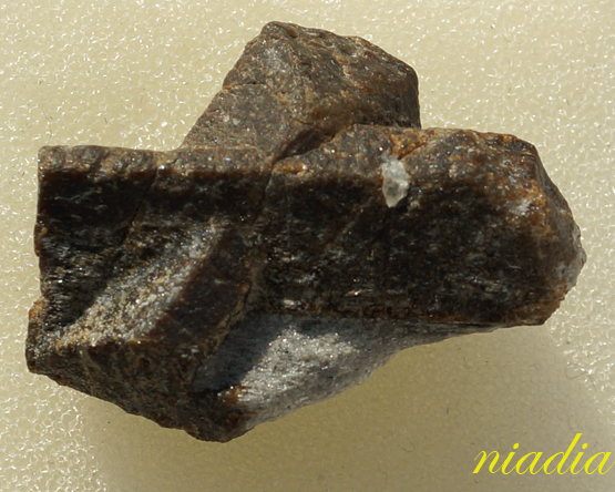 Компания кладоискателей. Болталка форума Минералов