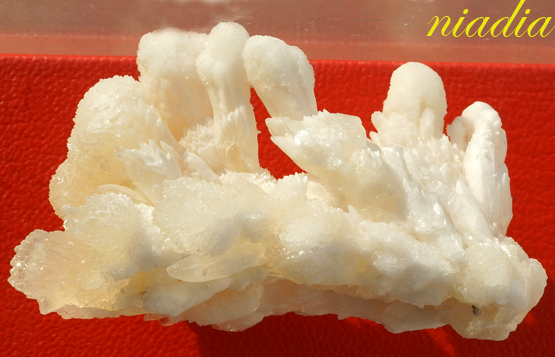 Компания кладоискателей. Болталка форума Минералов