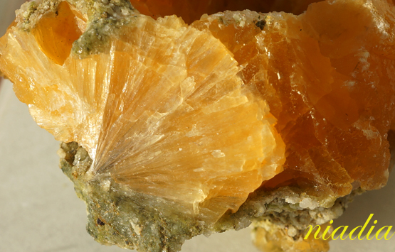 Компания кладоискателей. Болталка форума Минералов