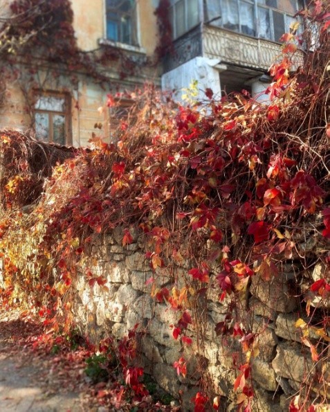 Куклы в народных костюмах – "Девчушки-болтушки"