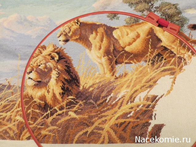 100 крестиков!