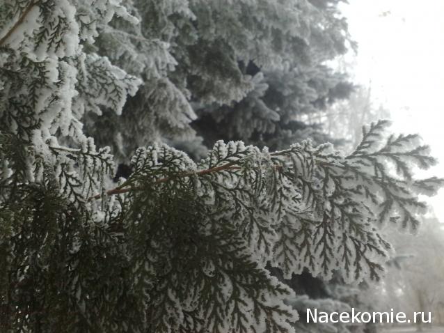 Куклы в народных костюмах – "Девчушки-болтушки"