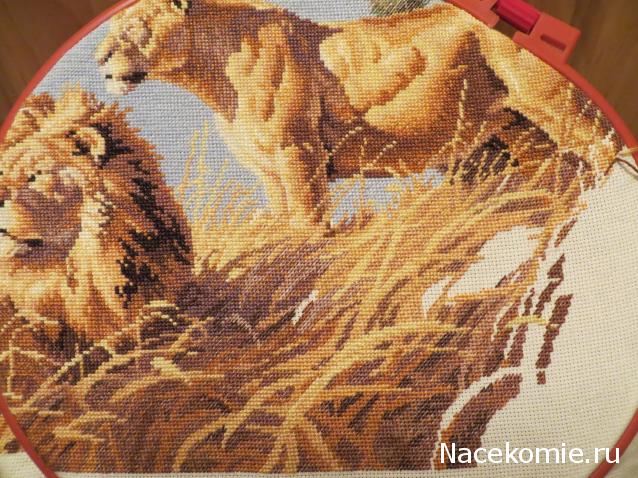 100 крестиков!