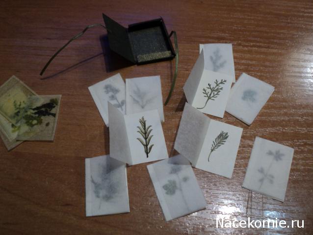 Paranoya - мой скромный домик