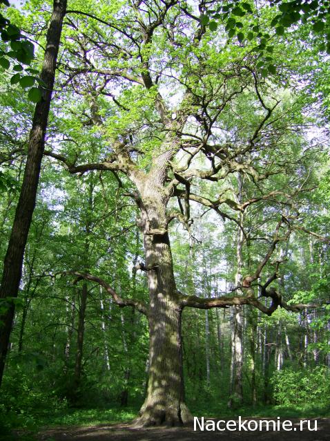 "Живой уголок"