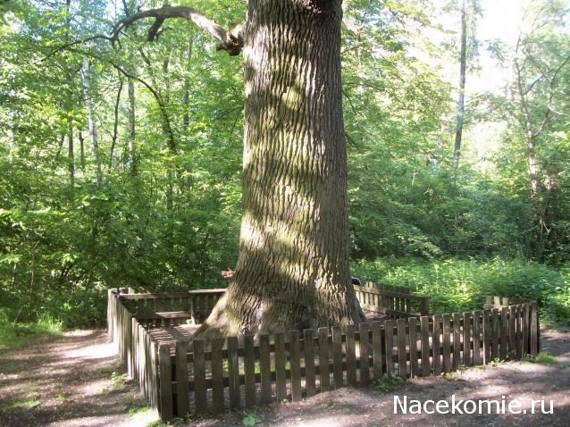 "Живой уголок"