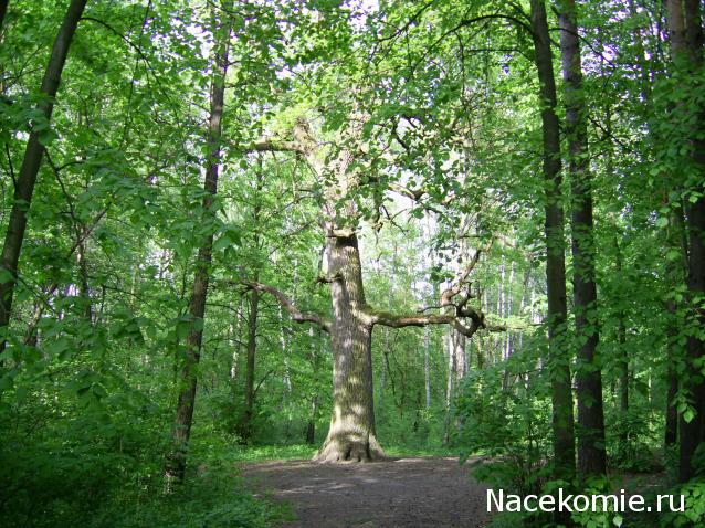 "Живой уголок"