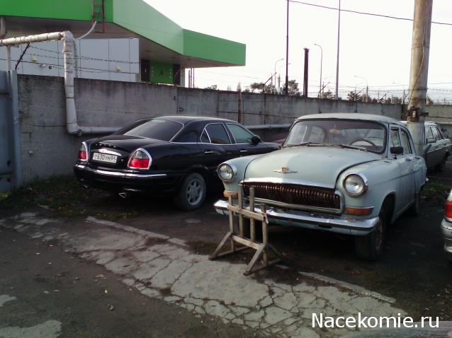 Автолегенды вживую