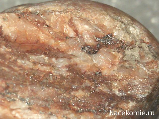 Компания кладоискателей. Болталка форума Минералов