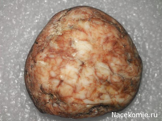 Компания кладоискателей. Болталка форума Минералов