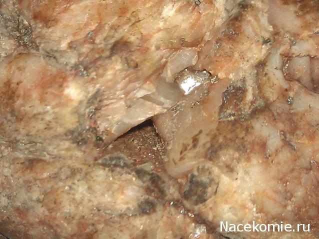 Компания кладоискателей. Болталка форума Минералов