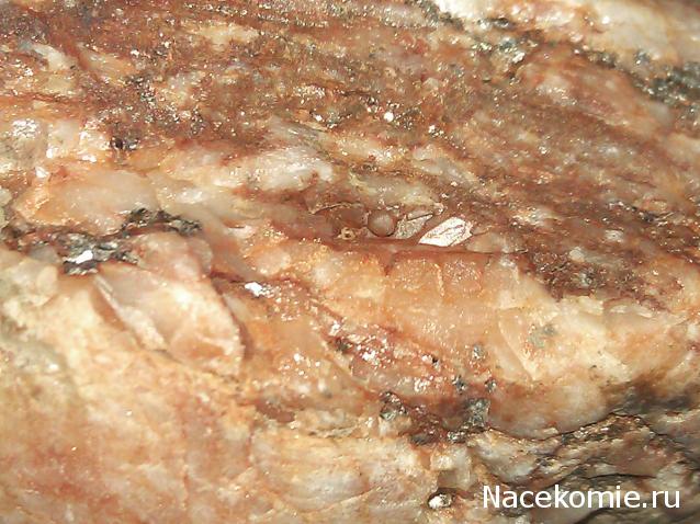 Компания кладоискателей. Болталка форума Минералов