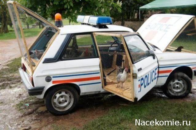 Дежурная Часть - Болталка форума Полицейские Машины Мира