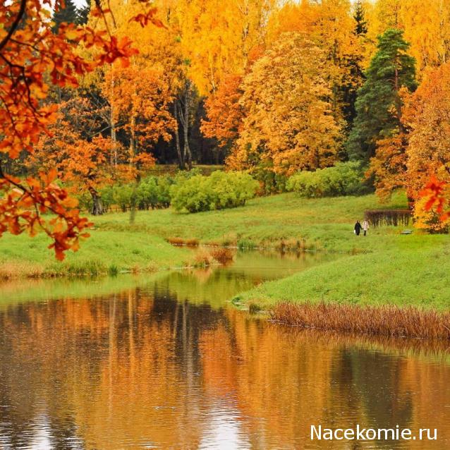 "Живой уголок"