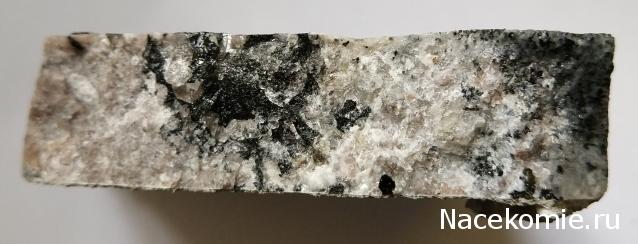 Компания кладоискателей. Болталка форума Минералов