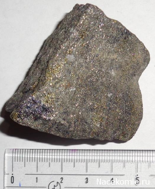 Компания кладоискателей. Болталка форума Минералов