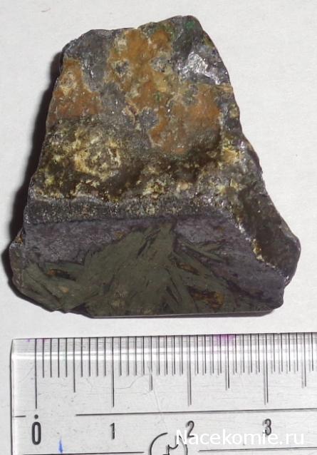 Компания кладоискателей. Болталка форума Минералов