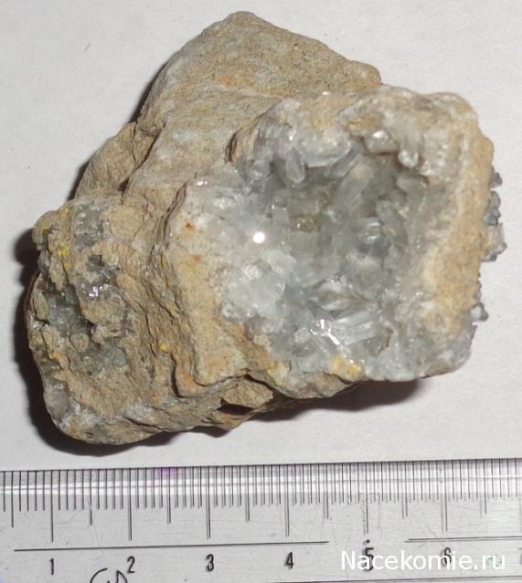 Компания кладоискателей. Болталка форума Минералов