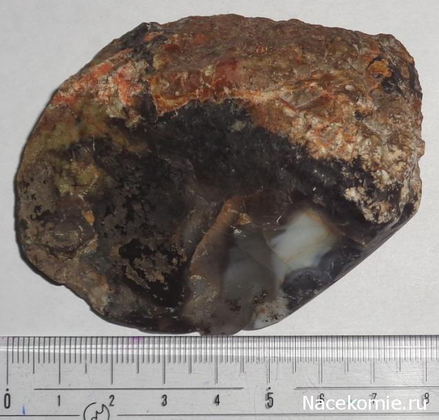 Компания кладоискателей. Болталка форума Минералов