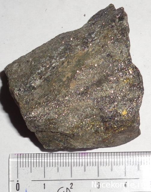 Компания кладоискателей. Болталка форума Минералов