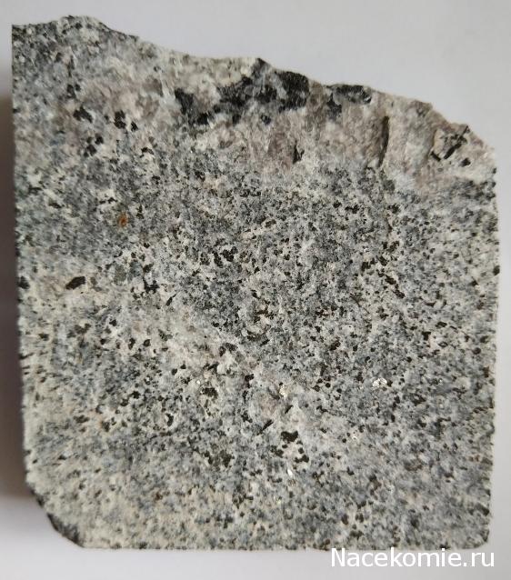 Компания кладоискателей. Болталка форума Минералов