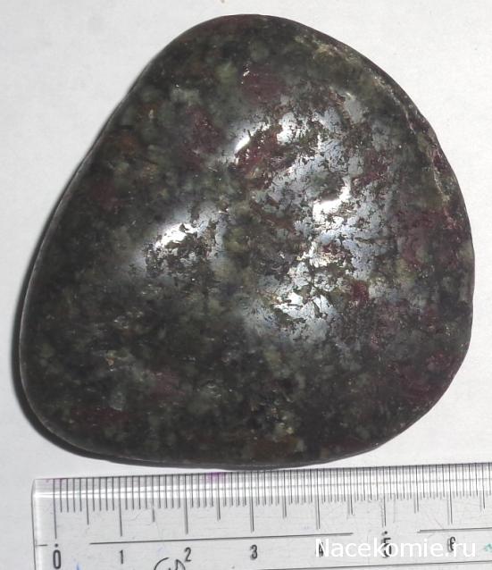 Компания кладоискателей. Болталка форума Минералов